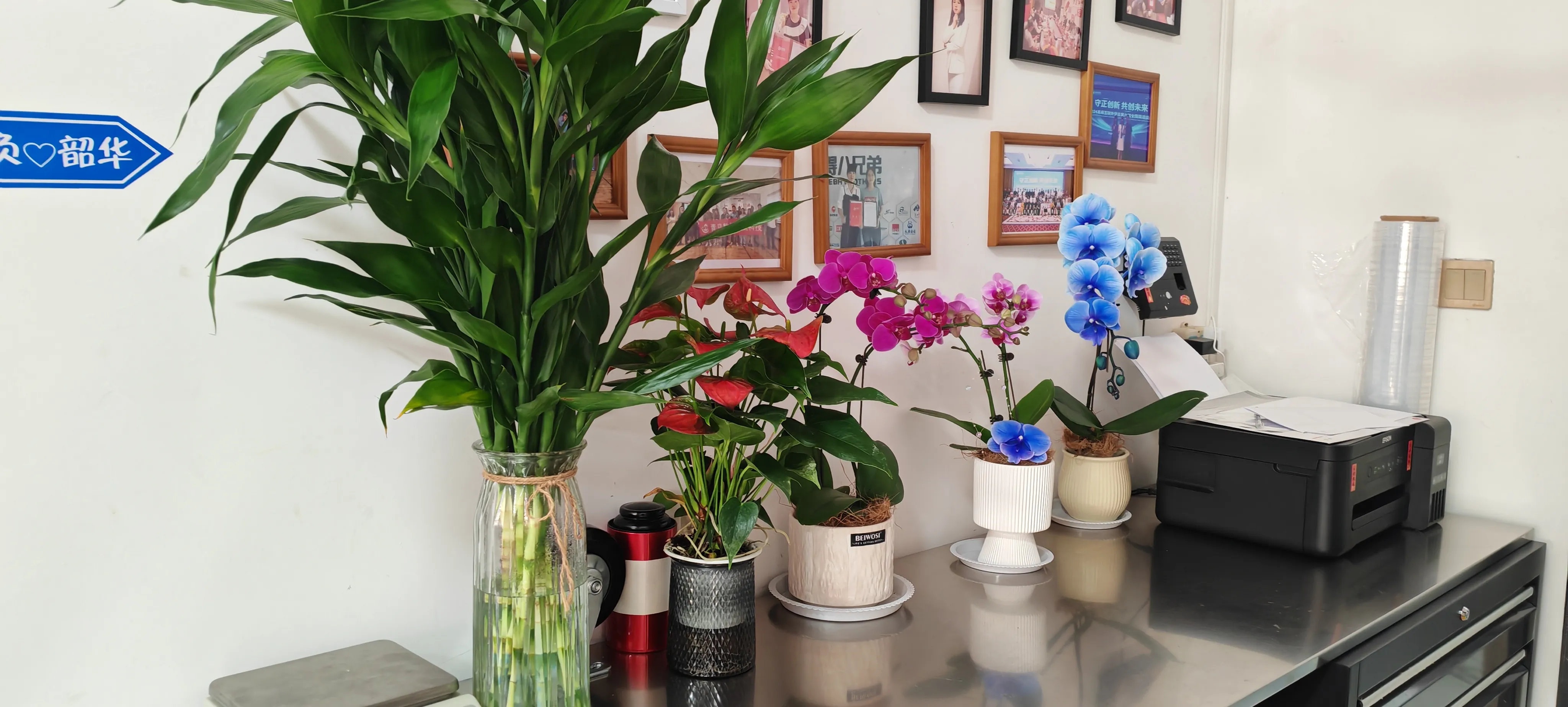 Maligayang pagdating ng mga bagong kaibigan ni Jojo Pack!